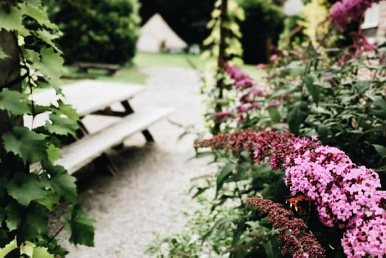 Glamping Op Boutique Whanau *